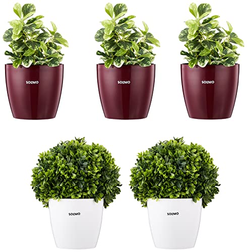 Amazon Brand – Solimo Round Planter, Set Of 5 (Claret 3 Pc, White 2 Pc)
