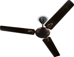 Bajaj Edge Hs Neo 1200 Mm Anti Dust 3 Blade Ceiling Fan(Choko Brown, Pack Of 1)