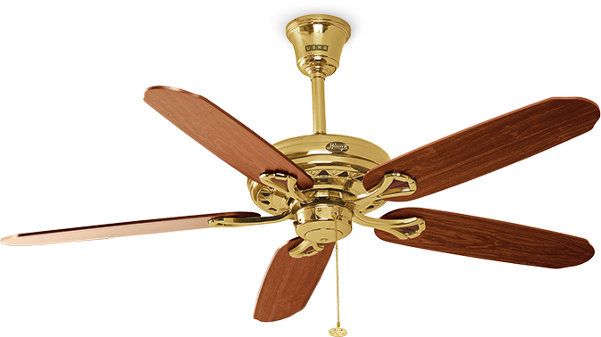 Fans