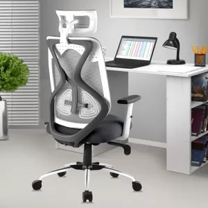Astride Ergofit Ergonomic Office Chair For Home | 3-Years Warranty | 2D Headrest, Adjustable Arms & Lumbar Support | Tilt Lock Mechanism [Heavy Duty Chromium Metal Base, Grey-White]