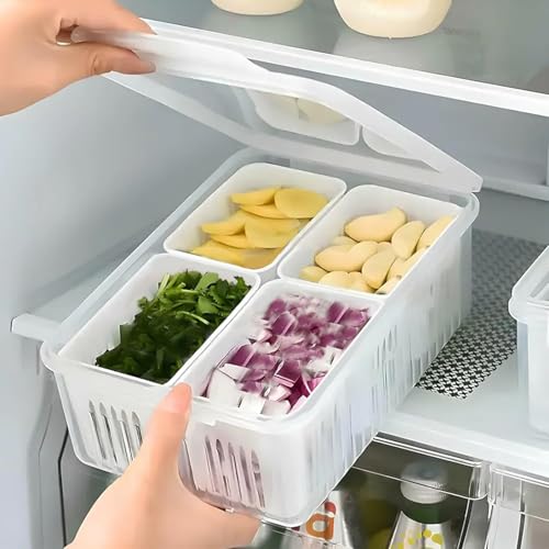 Mollishomes Vegetable Storage Container – 4 Grid | Container Boxes For Storage With Drain Tray | Plastic – 1.5L Capacity, Transparent White Fridge Organizer | Kitchen Storage Box And Storage Organiser