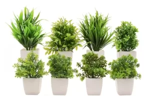 Mimicrops Artificial Plants With Pot 8 Pack | Realistic Looking | Multi Variety | Durable Plastic | No Maintenance | Home Decor | Dimensions: 5 Cm X 15 Cm (Pack Of 8)